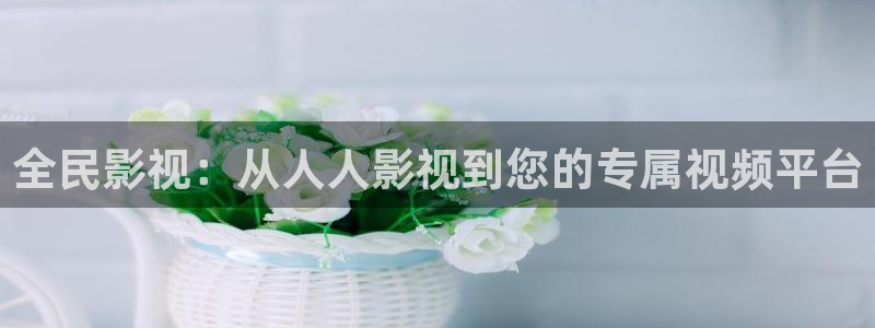 无锡保利影城：全民影视：从人人影视到您的专属视频平台