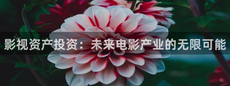 重庆保利万和国际影城：影视资产投资：未来电影产业的无限可能