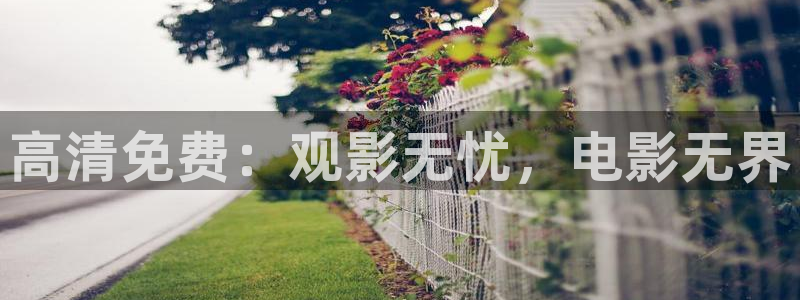 保利万和北碚电影院：高清免费：观影无忧，电影无界
