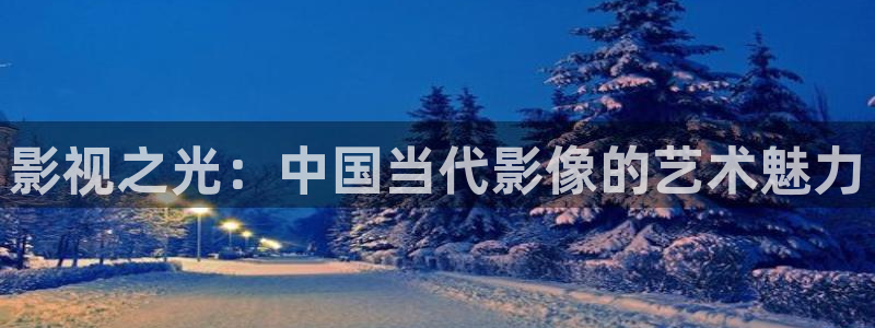 保利影业有限公司：影视之光：中国当代影像的艺术魅力