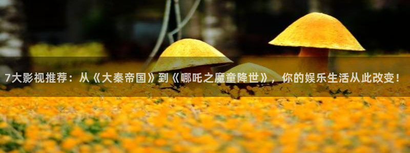 保利国际影城今日影片：7大影视推荐：从《大秦帝国》到《哪吒之魔童降世》，你的娱乐生活从此改变！