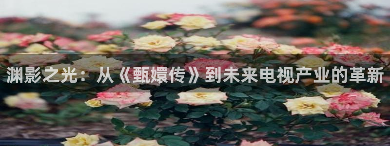 深圳保利影院：渊影之光：从《甄嬛传》到未来电视产业的革新