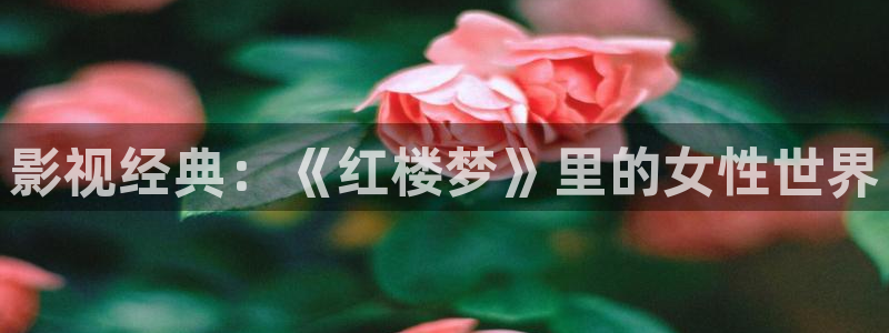 莒县保利万和影城：影视经典：《红楼梦》里的女性世界